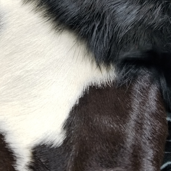 Filson X Astis Cowhide Vitus Bering Fur Mittens - Picture 9 of 9